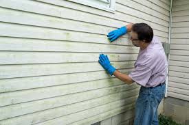 Affordable Siding Repair and Maintenance Services in Luck, WI